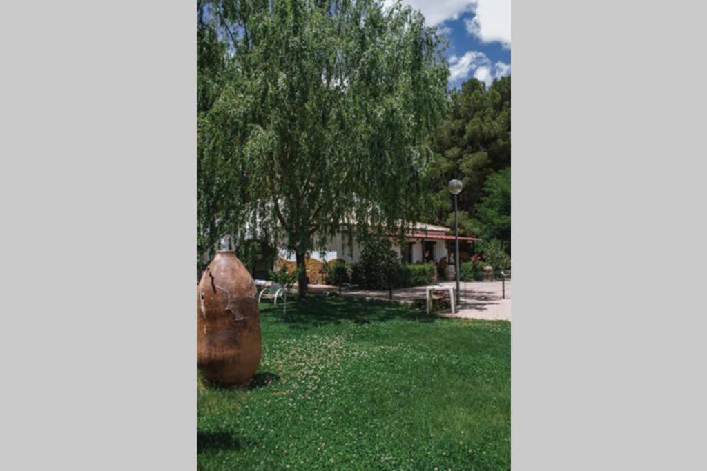 Вилла Casa Cueva Piena, Alcudia De Guadix Экстерьер фото